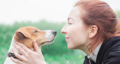 Dogs process faces differently to humans, study suggests